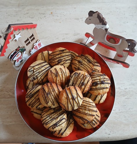 500g selbstgemachte kokos - selbstgemachte,